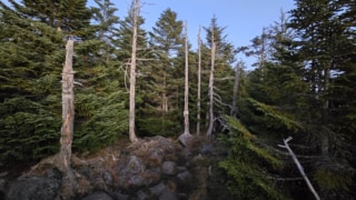 Thumbnail of post image 004