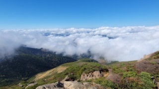 Thumbnail of post image 168