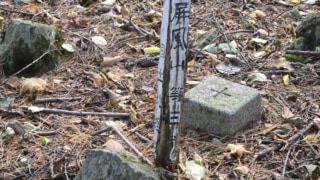 Thumbnail of post image 076