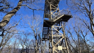 Thumbnail of post image 117