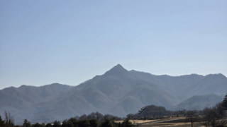 Thumbnail of post image 106