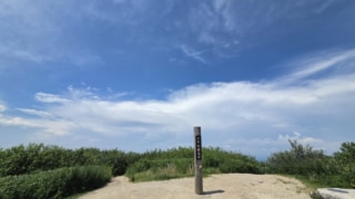 Thumbnail of post image 142