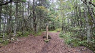 Thumbnail of post image 131